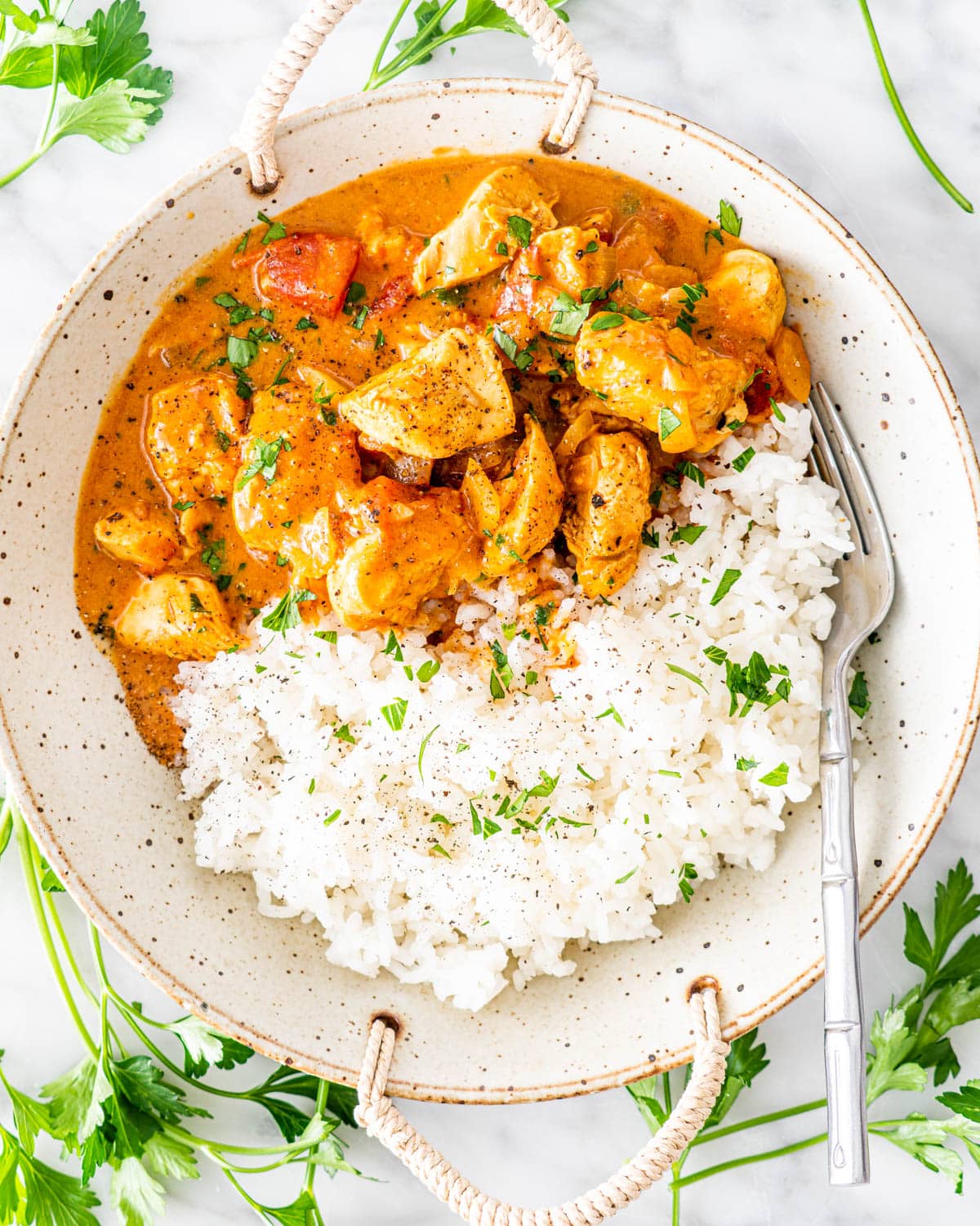 Spice chicken curry & rice